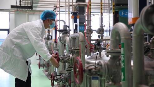 責任民企顯擔當，靠上服務助復產(chǎn)——泰安生物技術企業(yè)馳援抗疫一線